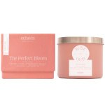 Echoes Premium Scented Candle, Rose & Oud, in Luxury Glass Jar, cotton wicks with paper threads with Self-Trimming