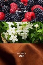 ⁦عطر أولر يو 009 للجنسين - أو دي بارفان 50 مل⁩ - الصورة ⁦2⁩