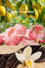 ⁦عطر أولر دبليو 018 للنساء - أو دي بارفان 50 مل⁩ - الصورة ⁦2⁩